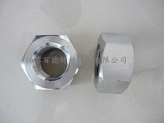 耐蝕合金XM-19(S20910/Nitronic50)螺母